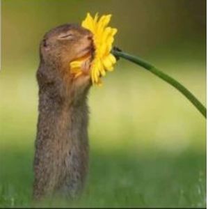 Meet your Posher, Timothy